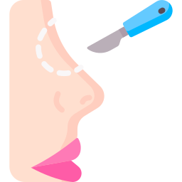 Rhinoplasty icon