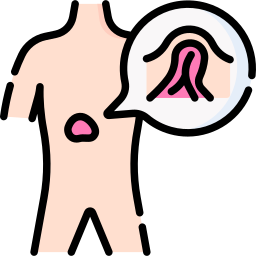 Epigastric icon