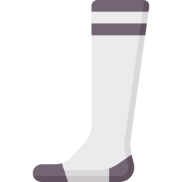 Socks icon