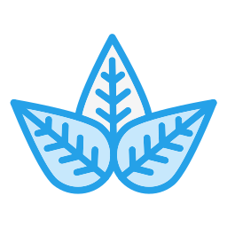 Leaf icon