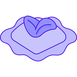 라비올리 icon