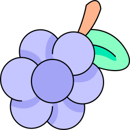 Grape icon