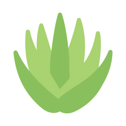 aloe vera icono