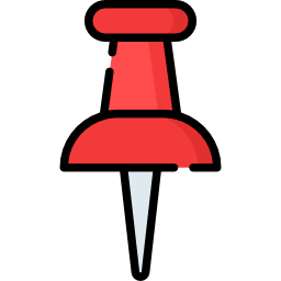 Pin icon