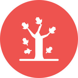 가을 나무 잎 icon