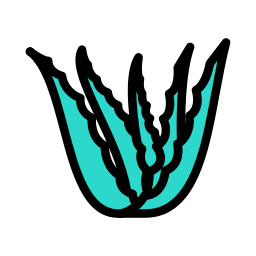 aloe vera icon