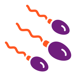 les spermatozoïdes Icône