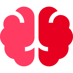 Brain icon