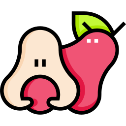 manzana rosa icono