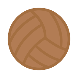 volleybal icoon