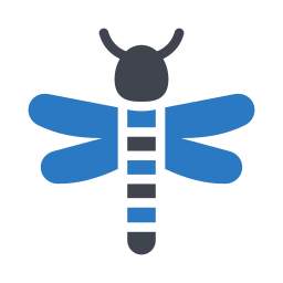 Dragon fly icon