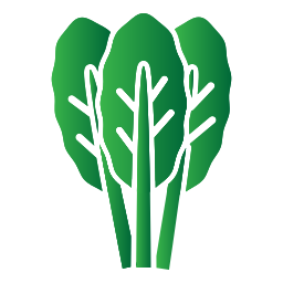 spinaci icona