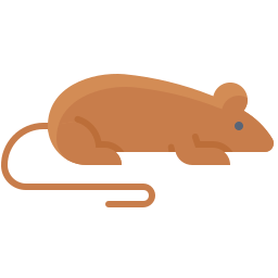 Rat icon