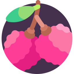 Lychee icon