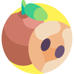 sapodilla icon