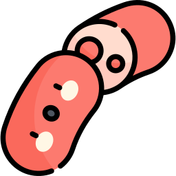 Kielbasa icon