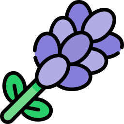 Lavender icon