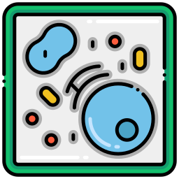 세포 icon
