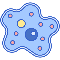unicellulaire Icône