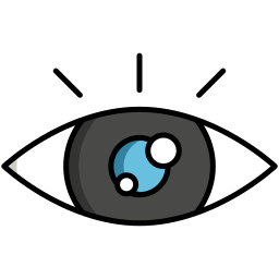 Vision icon