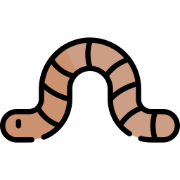 Worm icon