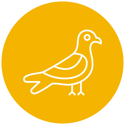 Sea gull icon