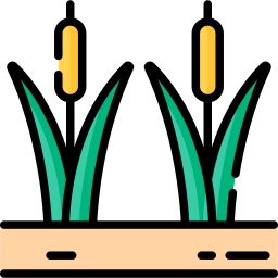 Reed icon