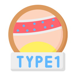 type 1 Icône