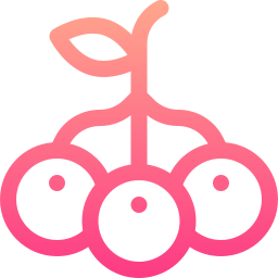 ブルーベリー icon