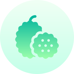 jackfruit icoon