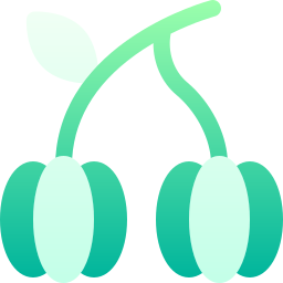 ピタンガ icon