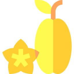 gwiezdny owoc ikona