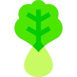 Bok choy icon