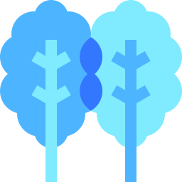 mangold icon