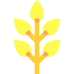 Moringa icon