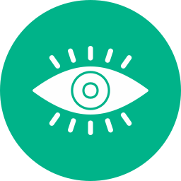 vision icon