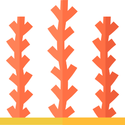 Seaweed icon