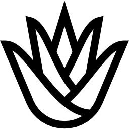 アガベ icon