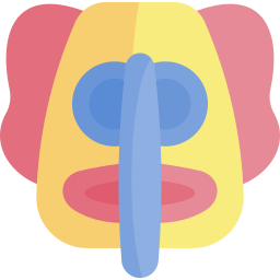 マリモンダ icon