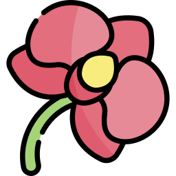 Orchid icon