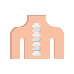 structure osseuse Icône