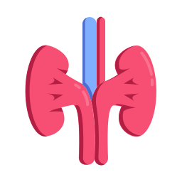 신체 기관 icon