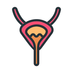 Body organ icon