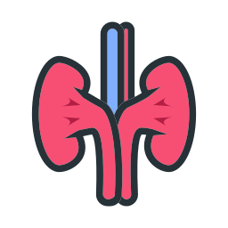 신체 기관 icon