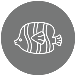 ryba motyl ikona