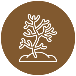 Coral icon