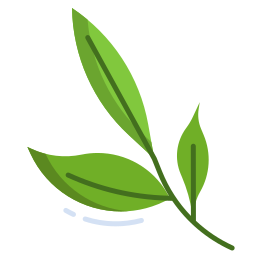 Tea leaf icon