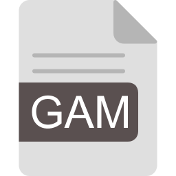 gam ファイル形式 icon