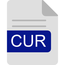 CUR file format icon