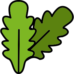 ルッコラ icon